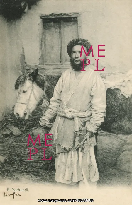 : Kashmir, India - A Uighur Man and Mule : Kashmir, India - A Uighur Man and Mule