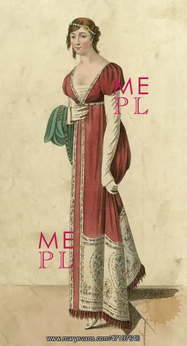 : Kashmir Shawl Dress 1810 : Kashmir Shawl Dress 1810