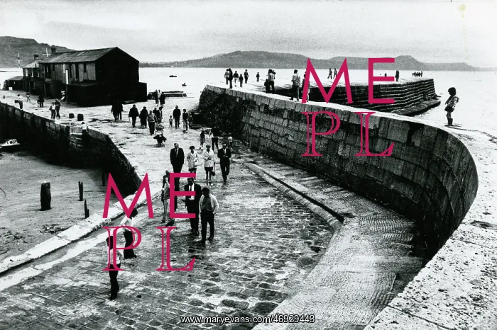 : Katkin on the Cobb, Lyme Regis : Katkin on the Cobb, Lyme Regis
