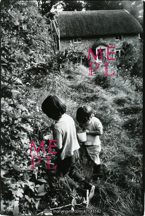  : Katkin and Tom picking blackberries, Rose Cottage, 1970