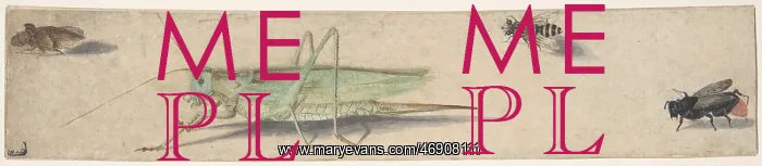 : A Katydid, a Fly, a Bee, and a Fulgoroid, 17th : A Katydid, a Fly, a Bee, and a Fulgoroid, 17th