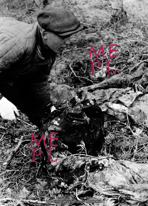 : The Katyn massacre : The Katyn massacre