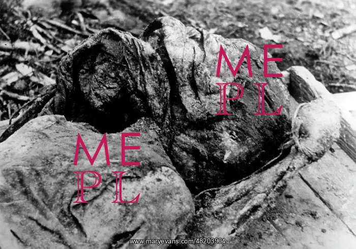 : The Katyn massacre : The Katyn massacre