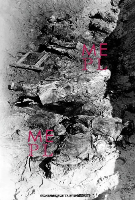 : The Katyn massacre : The Katyn massacre