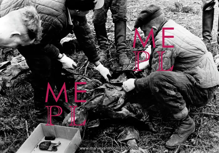 : The Katyn massacre : The Katyn massacre