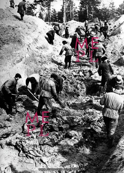 : The Katyn massacre : The Katyn massacre