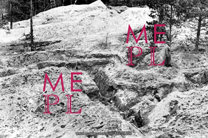 : The Katyn massacre : The Katyn massacre