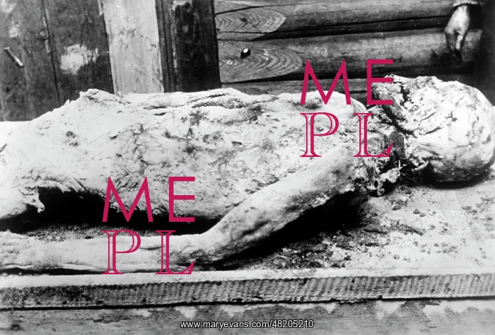 : The Katyn massacre : The Katyn massacre