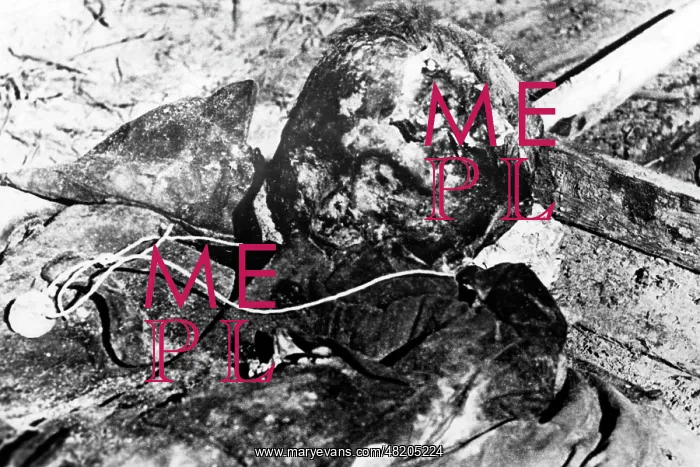 : The Katyn massacre : The Katyn massacre