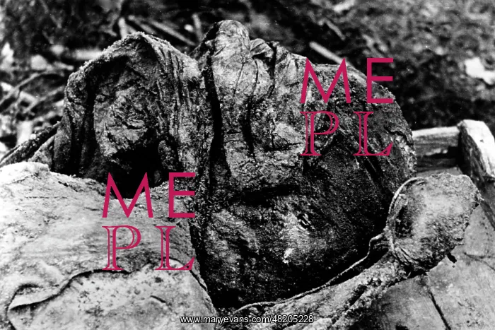 : The Katyn massacre : The Katyn massacre