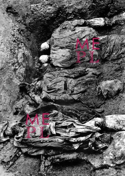 : The Katyn massacre : The Katyn massacre