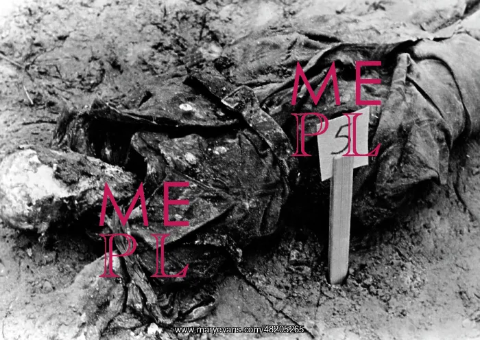: The Katyn massacre : The Katyn massacre