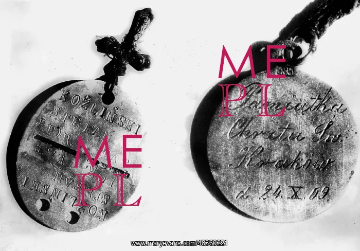 : The Katyn massacre : The Katyn massacre