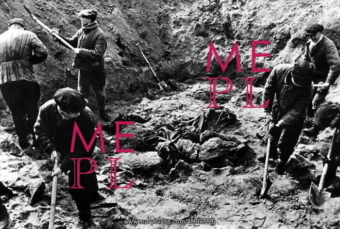 : The Katyn massacre : The Katyn massacre
