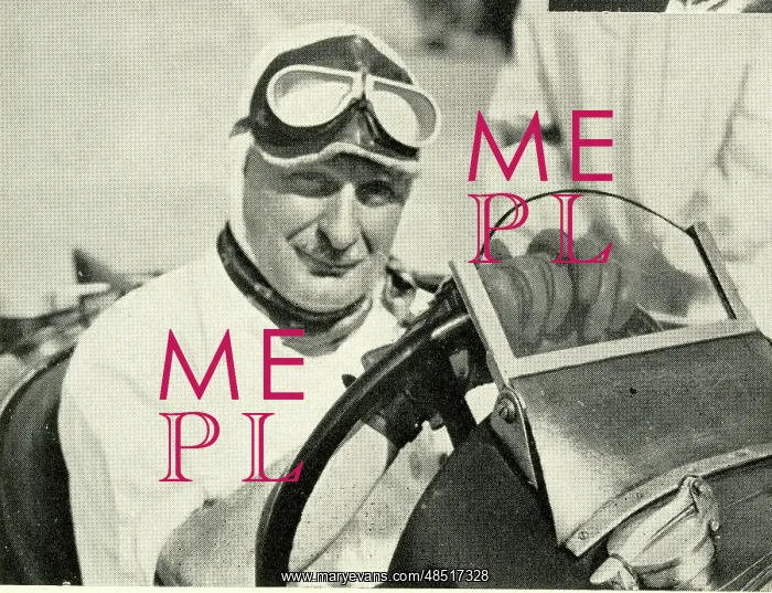  : Kaye Don at the wheel of his racing car