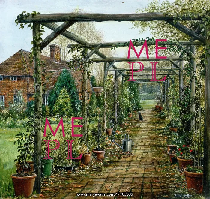: Keeping in the Shade ? cat under a pergola : Keeping in the Shade ? cat under a pergola
