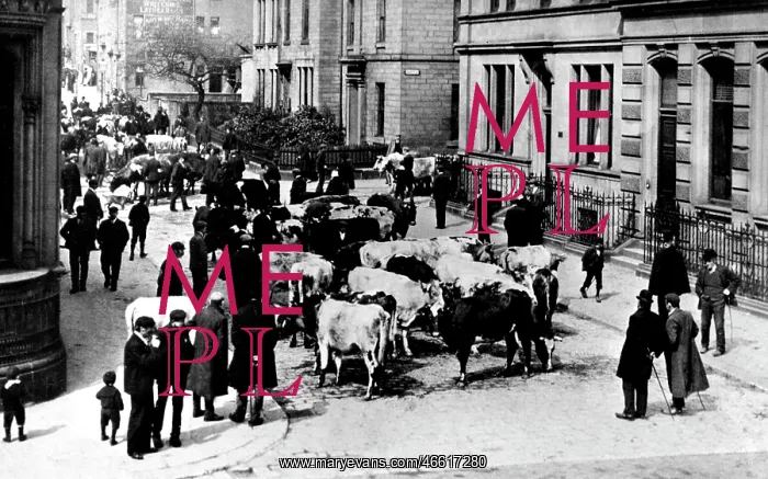  : Keighley, the Cattle Market c1910