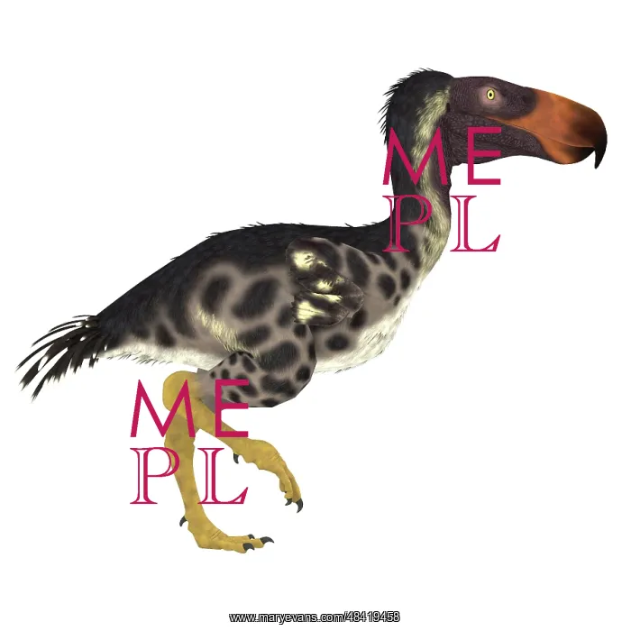  : The Kelenken terror bird of Argentina