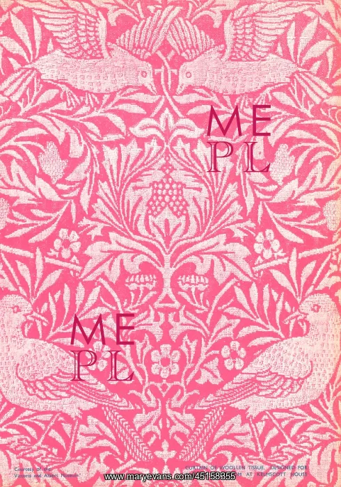 : Kelmscott House Curtain Of Woollen Tissue : Kelmscott House Curtain Of Woollen Tissue