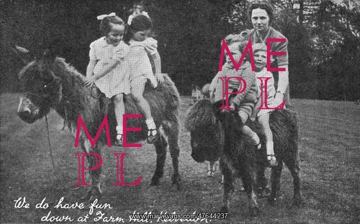 : Kelvedon Farm Hill Barnardo's : Kelvedon Farm Hill Barnardo's