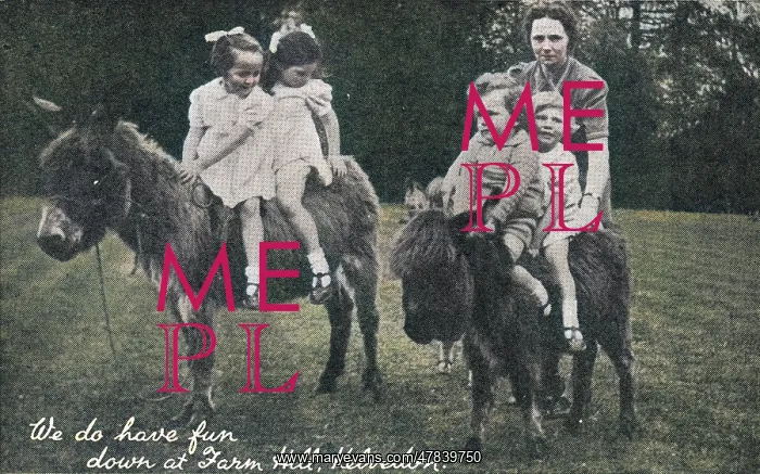 : Kelvedon Farm Hill Barnardo's : Kelvedon Farm Hill Barnardo's