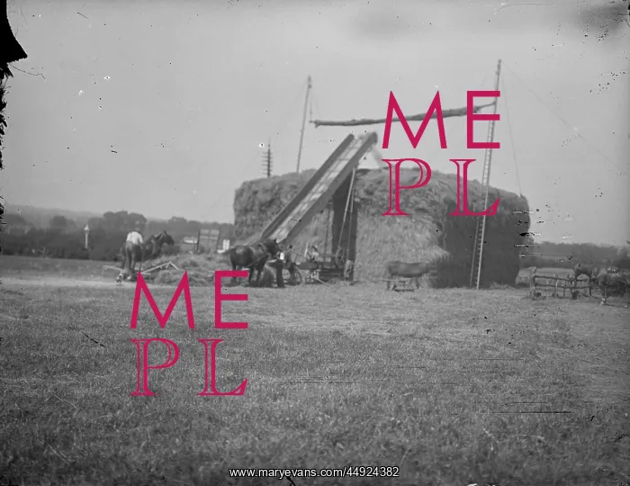  : Kemnal Farm - Hay-making