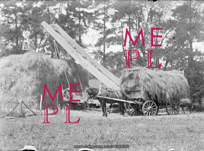 : Kemnal Farm - Horse & hay stacks : Kemnal Farm - Horse & hay stacks