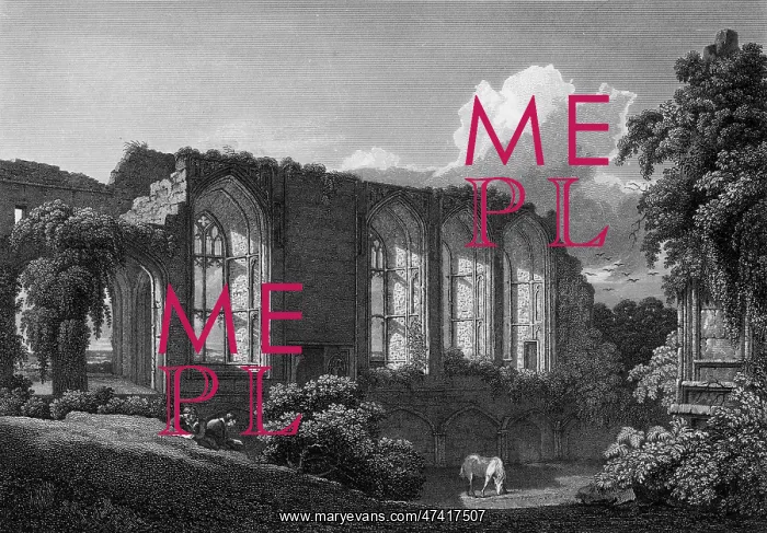 : KENILWORTH CASTLE, Warwickshire : KENILWORTH CASTLE, Warwickshire