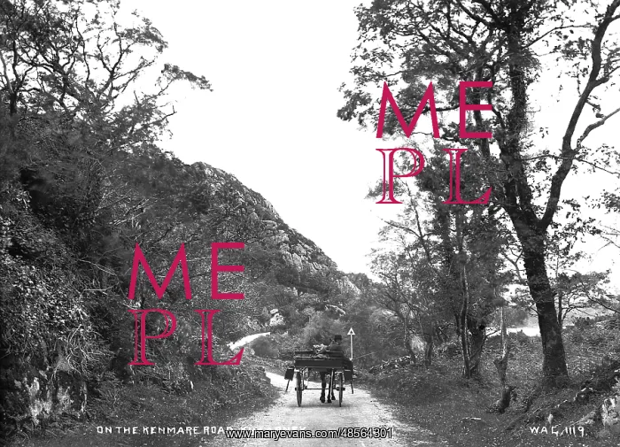 : On the Kenmare Road, Killarney : On the Kenmare Road, Killarney