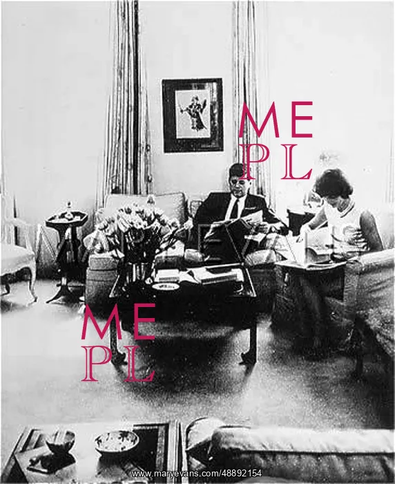 : THE KENNEDYS : THE KENNEDYS