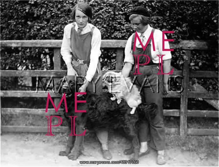 : KENNEL MAIDS 1930S : KENNEL MAIDS 1930S