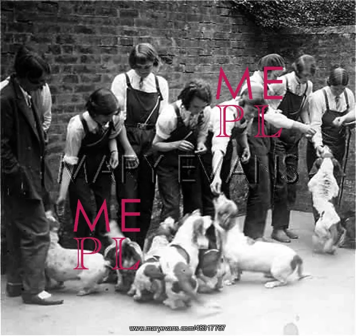 : KENNEL MAIDS 1930S : KENNEL MAIDS 1930S