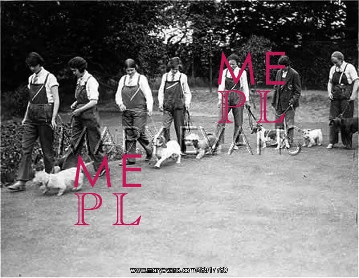 : KENNEL MAIDS 1930S : KENNEL MAIDS 1930S