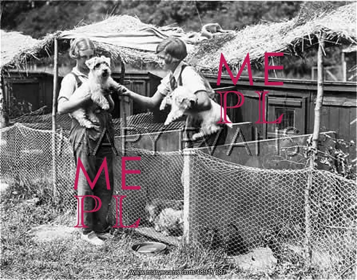 : KENNEL MAIDS 1930S : KENNEL MAIDS 1930S