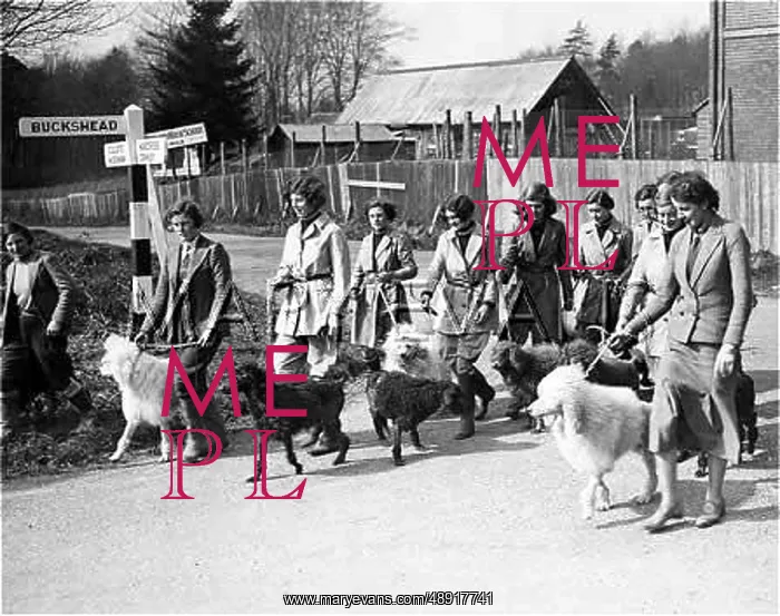 : KENNELS TRAINING COLLEGE : KENNELS TRAINING COLLEGE