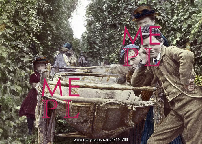  : Kent Hop Pickers early 1900s