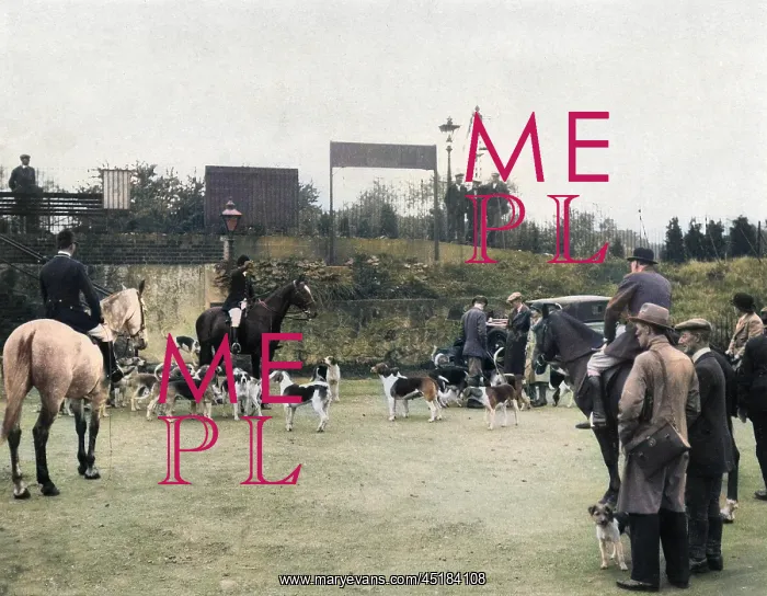 : KENTISH FOX MEET : KENTISH FOX MEET
