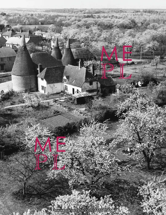 : KENTISH SCENERY : KENTISH SCENERY