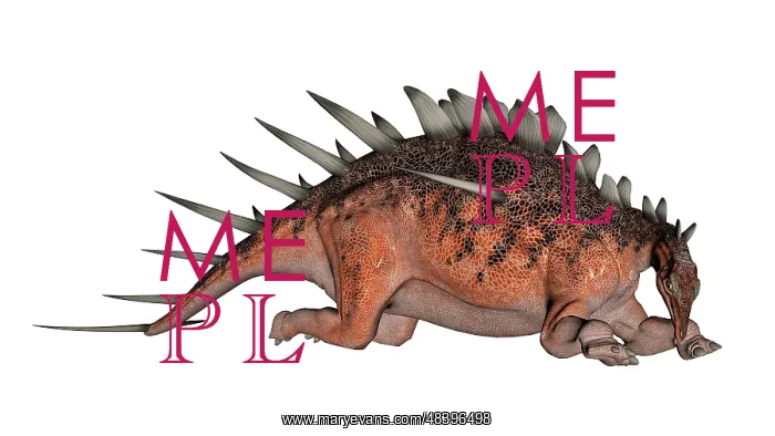 : Kentrosaurus dinosaur resting, white background : Kentrosaurus dinosaur resting, white background