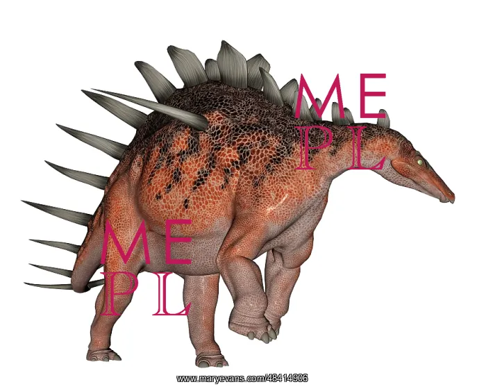 : Kentrosaurus dinosaur, white background : Kentrosaurus dinosaur, white background