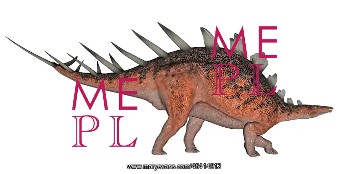 : Kentrosaurus dinosaur, white background : Kentrosaurus dinosaur, white background