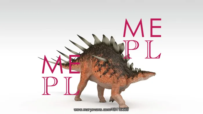 : Kentrosaurus dinosaur, white background : Kentrosaurus dinosaur, white background