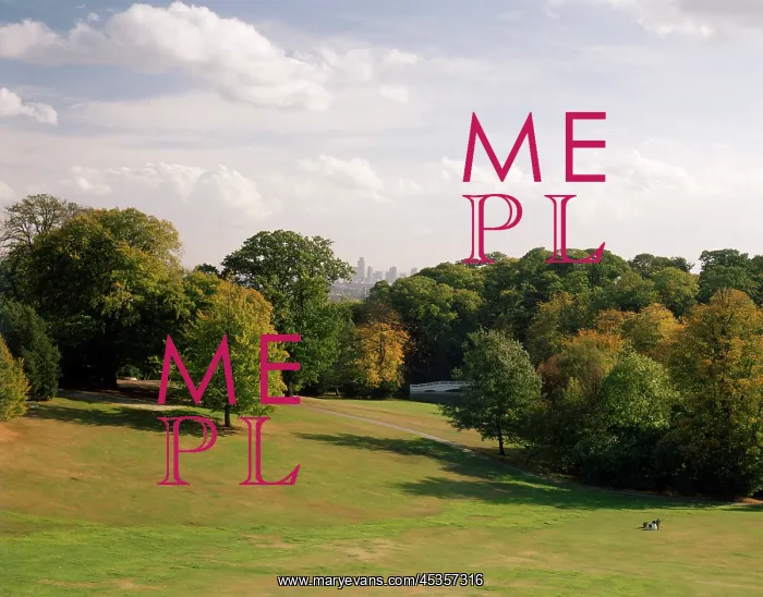 : Kenwood House parkland : Kenwood House parkland