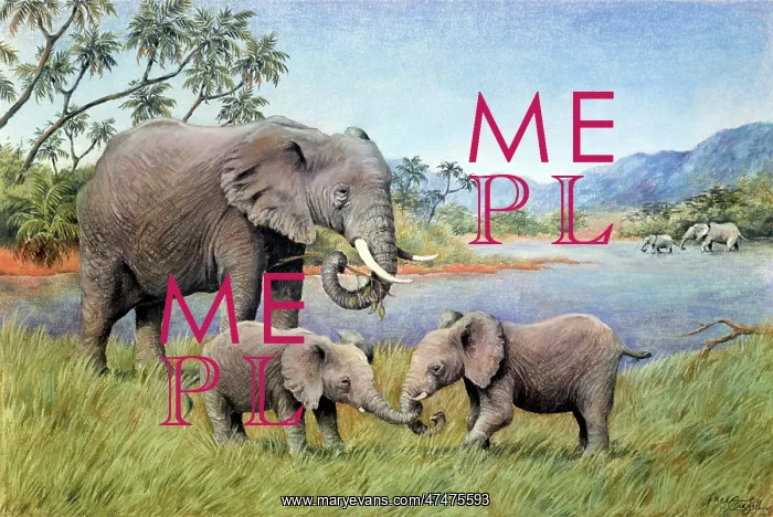  : Kenyan Elephants by the Mara River