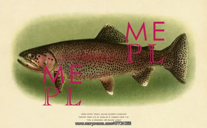 : Kern River Trout : Kern River Trout