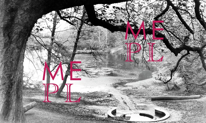  : Keston, Caesar's Well c1960