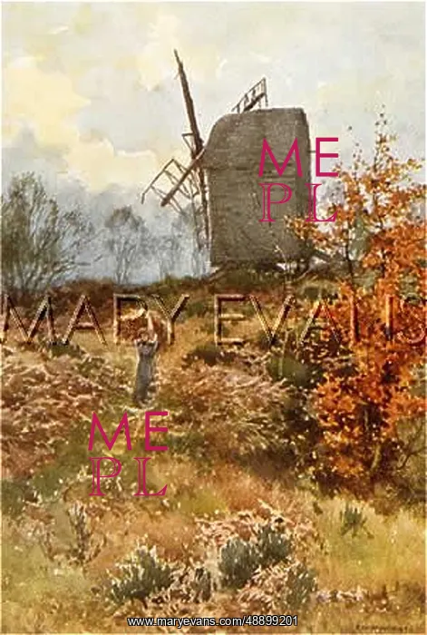  : Keston Common, Kent: the mill