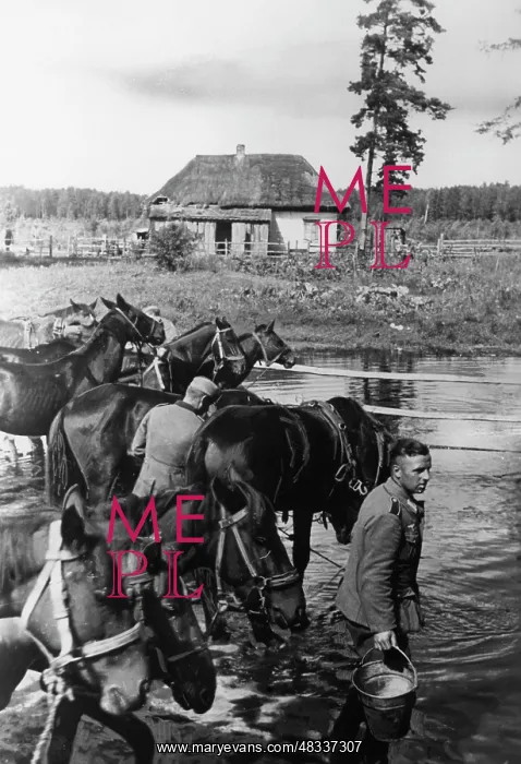 : Kettle battle around Kiev, 1941 : Kettle battle around Kiev, 1941
