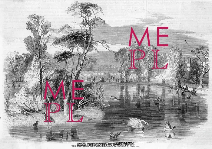 : KEW GARDENS : KEW GARDENS