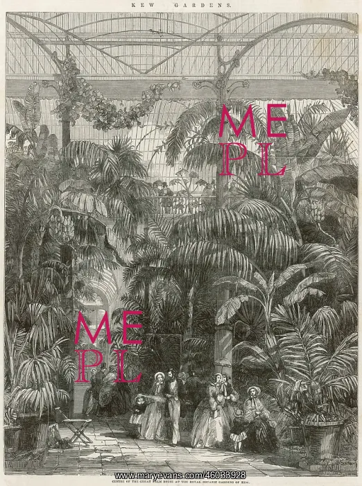 : Kew Gardens : Kew Gardens
